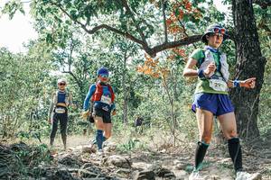 BIB: 
                            <button type="button" onclick="openModal(26087759)" class="btn btn-primary btn-sm float-right btn-popup" data-toggle="modal" data-target=".modal-high-quality">
                        <i class="fas fa-shopping-cart"></i> Add to Cart
                    </button>
                                            <button type="button" onclick="isThisMe(26087759, true)" class="btn btn-success btn-sm float-right btn-popup btn-isme hidden" data-toggle="tooltip" data-placement="bottom" title="นี่คือรูปของคุณใช่ไหม คลิกที่นี่เพื่อเอาเข้าอัลบั้ม">
                        <i class="fas fa-plus"></i> Add to album
                    </button>
                    <button type="button" onclick="isThisMe(26087759, false)" class="btn btn-warning btn-sm float-right btn-popup btn-isnotme hidden">
                        <i class="fas fa-ban"></i> Remove from album
                    </button>